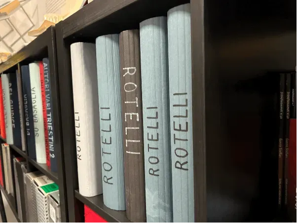 A selection of Franco Rotelli books on a bookcase